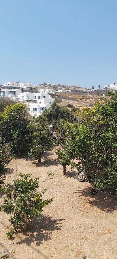 Demis Mykonos Stay 2 Platys Gialos  Екстериор снимка