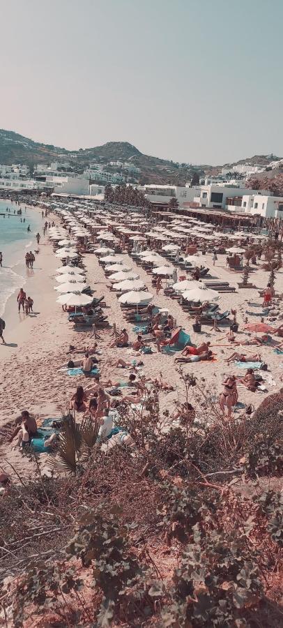 Demis Mykonos Stay 2 Platys Gialos  Стая снимка